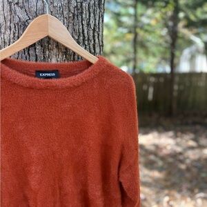 Express Women's Warm Terracotta Sweater